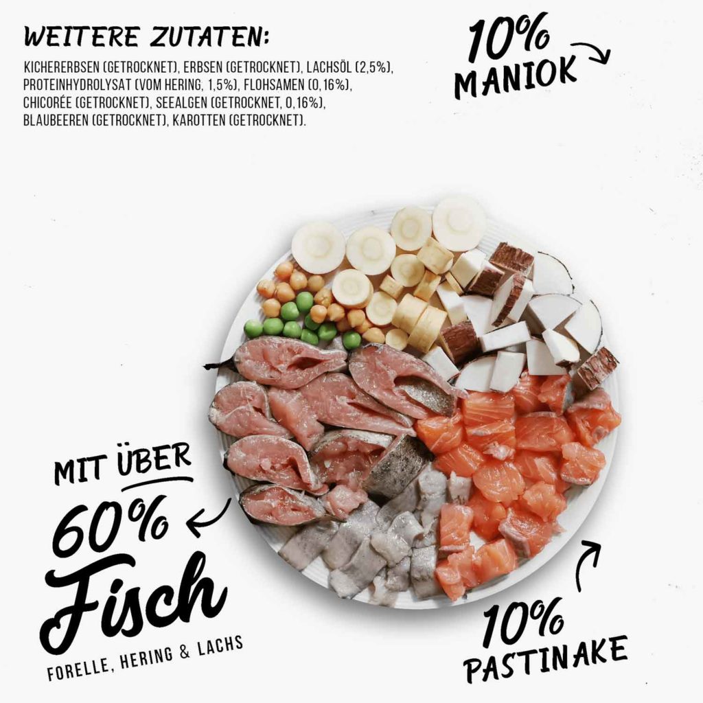 Tales & Tails Trockenfutter FISCH IM KOPP - Martha & Lotte Hundeshop